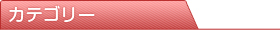 カテゴリー